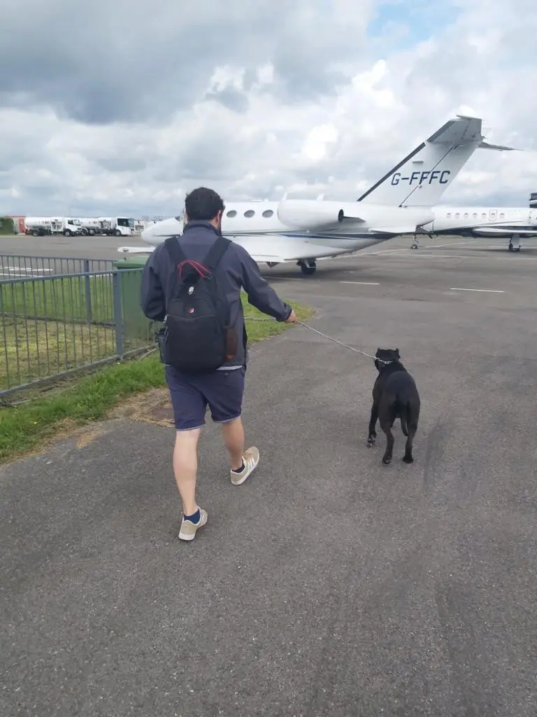 man with dog walking to private jet