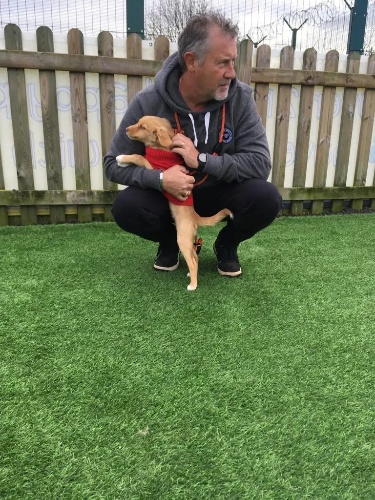 man holding a puppy in a red jumper