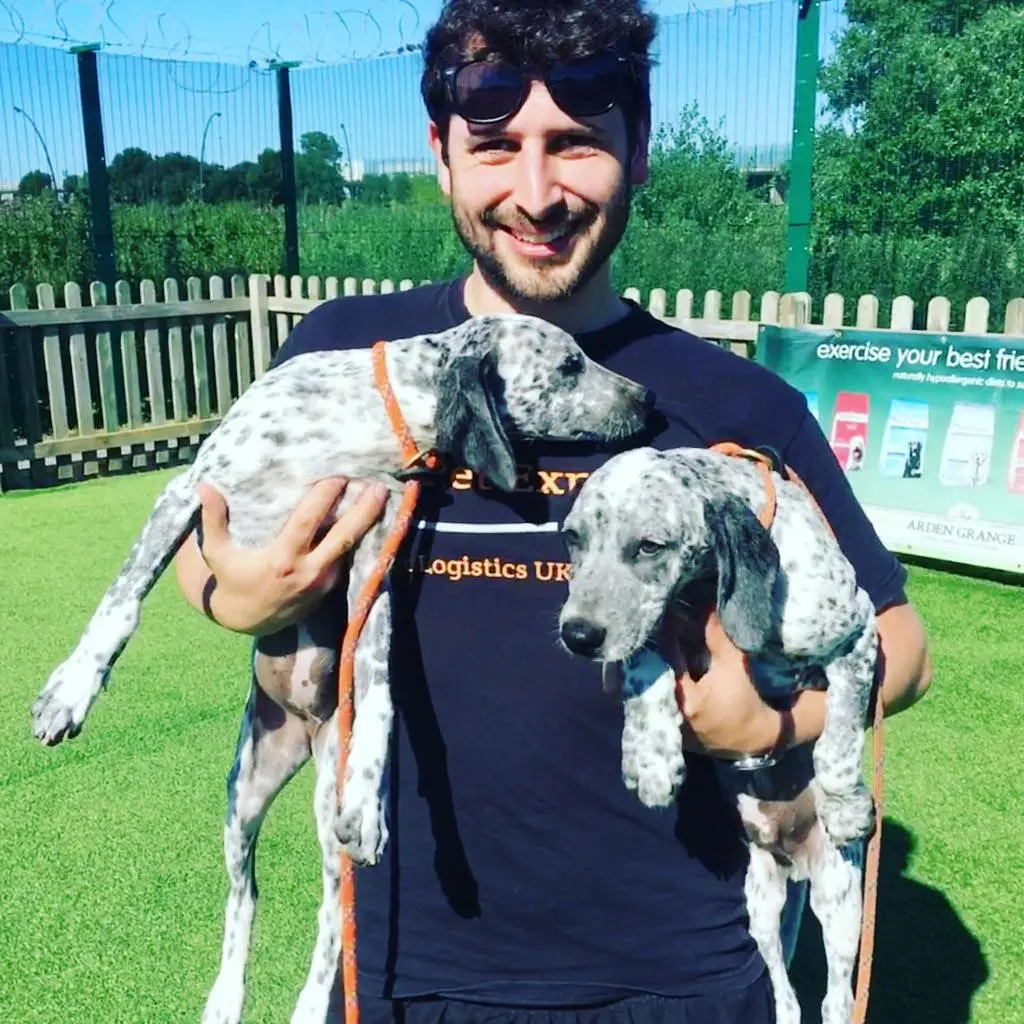 man holding 2 dalmatian puppies under his arms