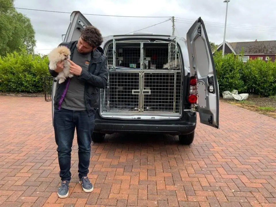 cage set up for small Peugeot partner van pet transporter